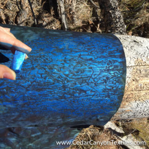 pine-beetle-rubbings-4